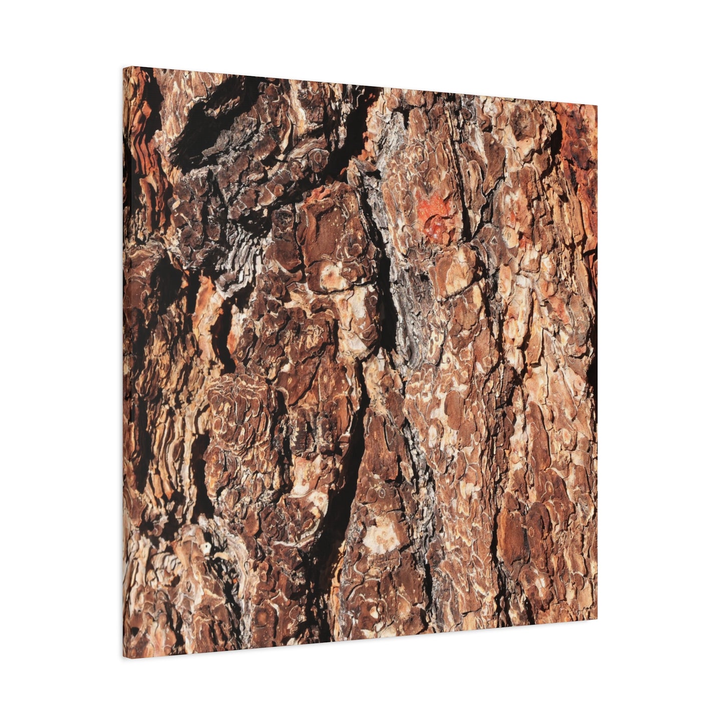 Russet Echoes - Unique Frameless Canvas Wall Art