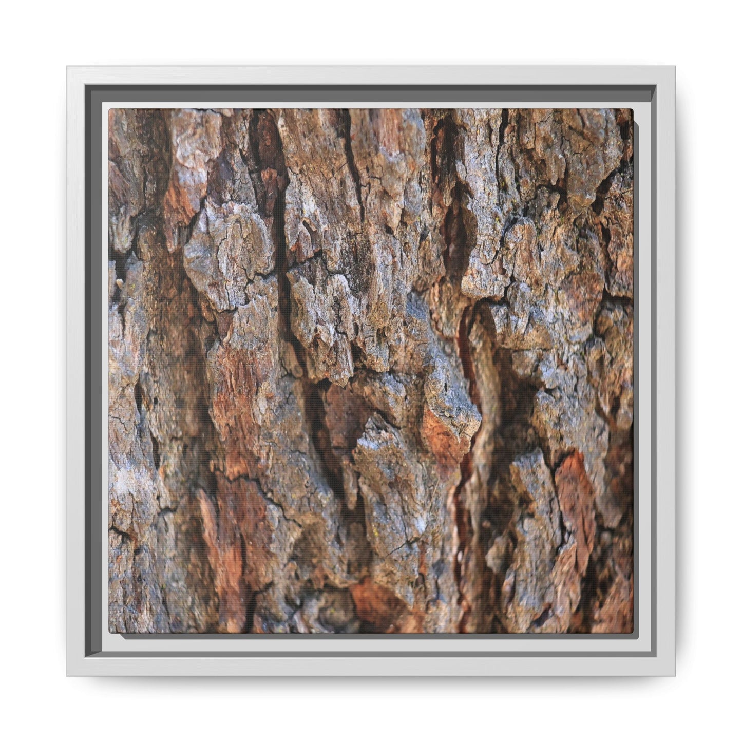 Craggy Textures - Unique Stretched Canvas Wall Art - Art By Earth