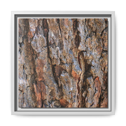 Craggy Textures - Unique Stretched Canvas Wall Art - Art By Earth
