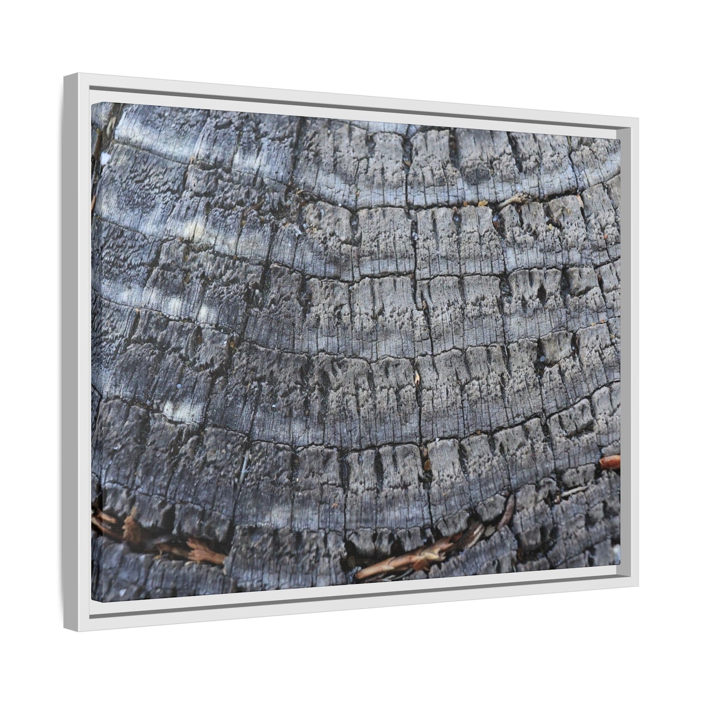 Charred Memories - Unique Stretched Canvas Wall Art - Art By Earth