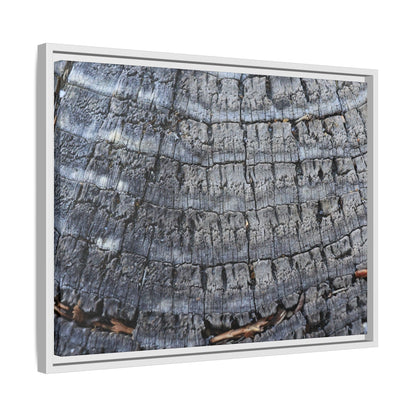 Charred Memories - Unique Stretched Canvas Wall Art - Art By Earth