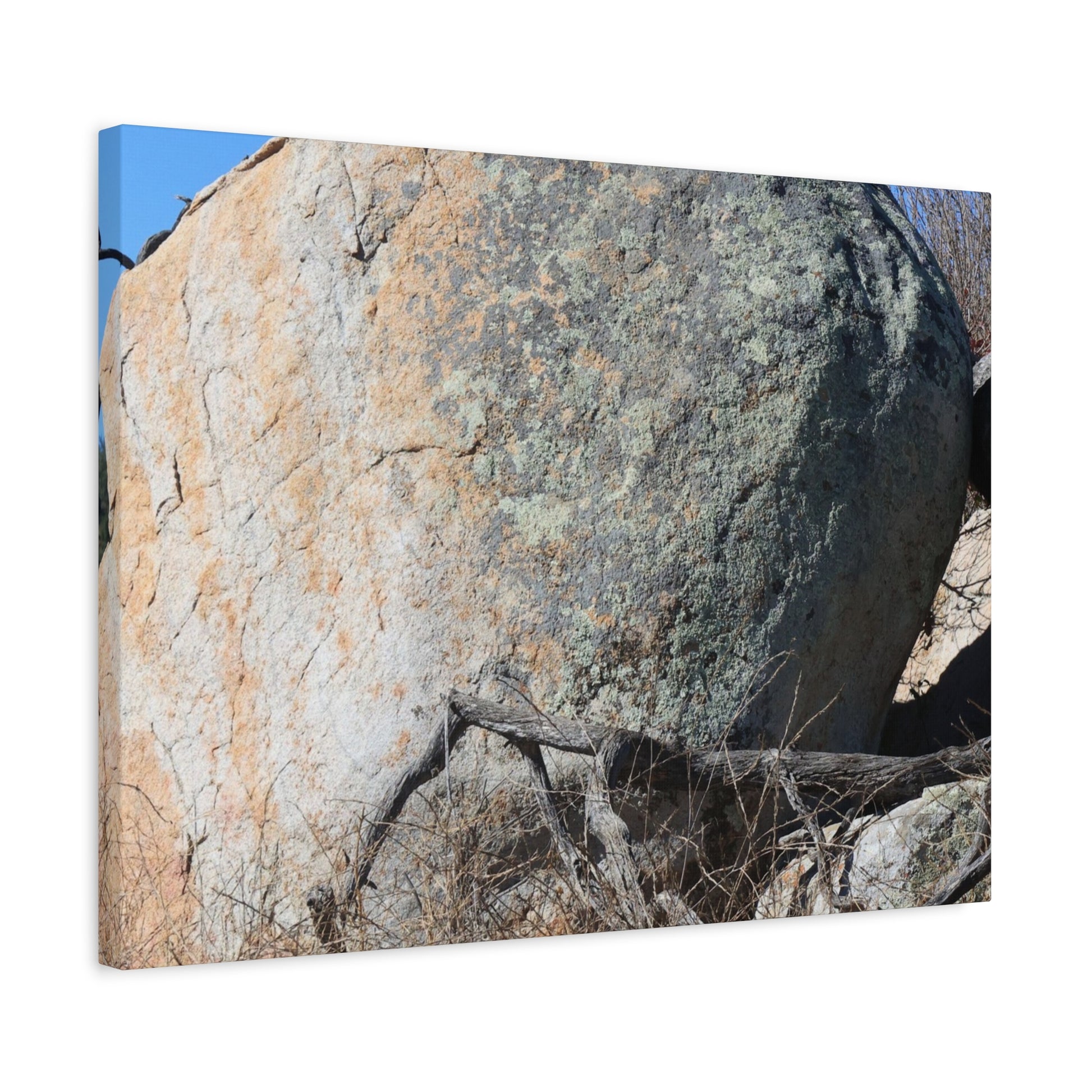 Boulder's Solitude - Unique Stretched Canvas Wall Art - Art By Earth