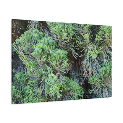 Green Labyrinth - Unique Frameless Canvas Wall Art - Art By Earth