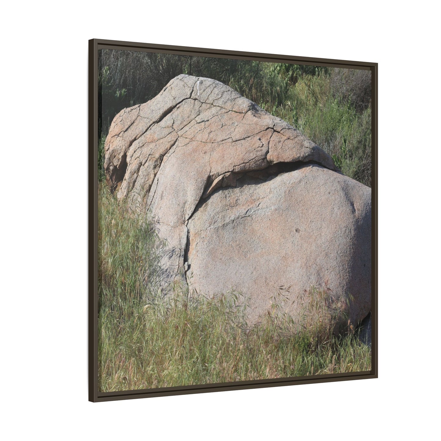 Stone Head Emerging from Earth - Unique Stretched Canvas Wall Art - Art By Earth