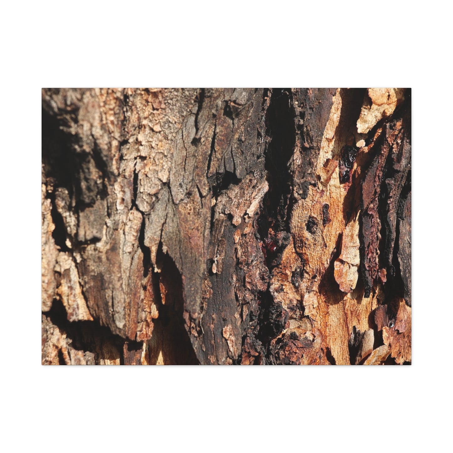 Wooden Terrain - Unique Frameless Canvas Wall Art - Art By Earth