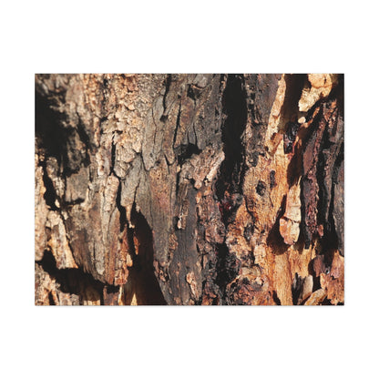 Wooden Terrain - Unique Frameless Canvas Wall Art - Art By Earth