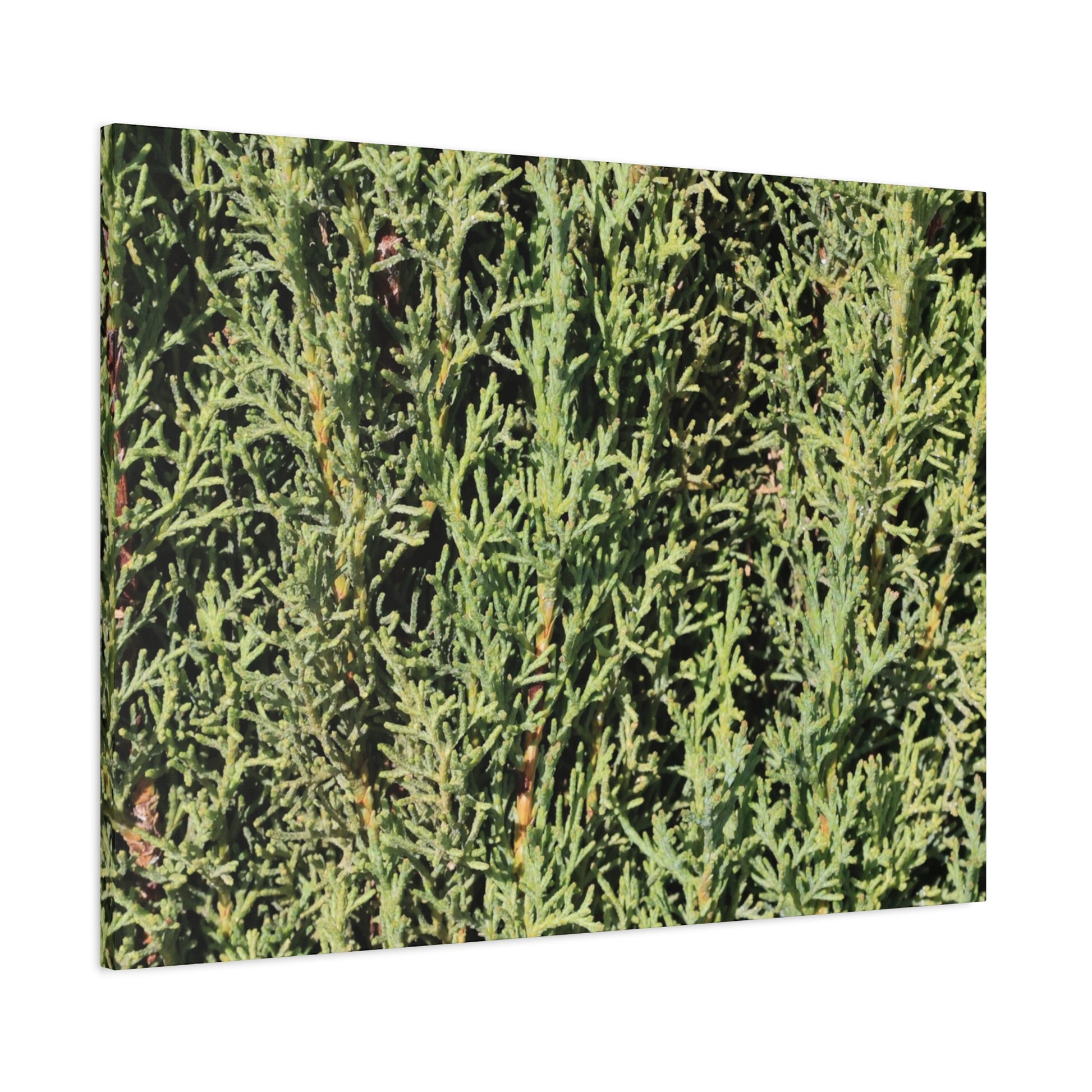 Emerald Tapestry - Unique Frameless Canvas Wall Art - Art By Earth