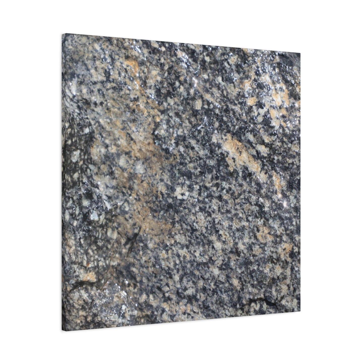 Metamorphic Memory - Unique Frameless Canvas Wall Art - Art By Earth