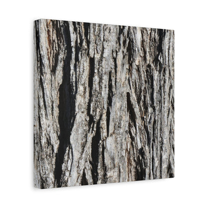 Bark Layers in Monochrome - Unique Frameless Canvas Wall Art - Art By Earth