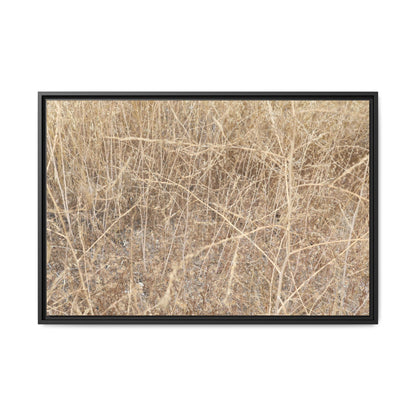 Golden Stalks - Unique Stretched Canvas Wall Art - Art By Earth