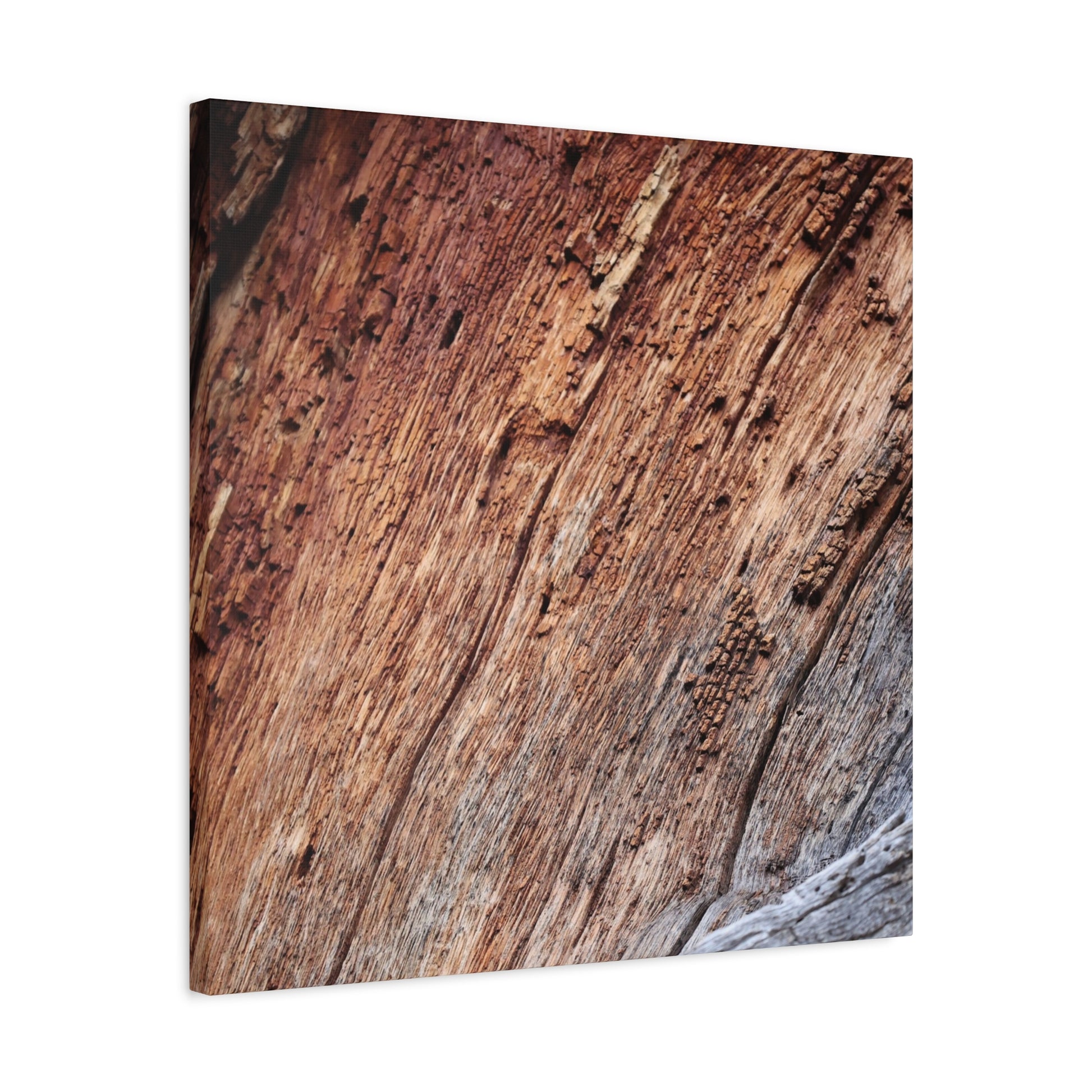 Natural Wood Grain - Unique Frameless Canvas Wall Art - Art By Earth