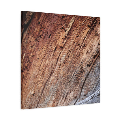 Natural Wood Grain - Unique Frameless Canvas Wall Art - Art By Earth