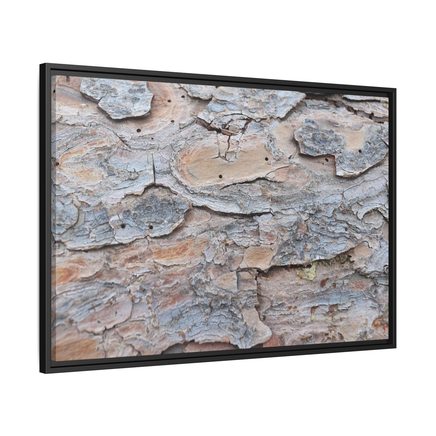 Peeling Memories - Unique Stretched Canvas Wall Art - Art By Earth