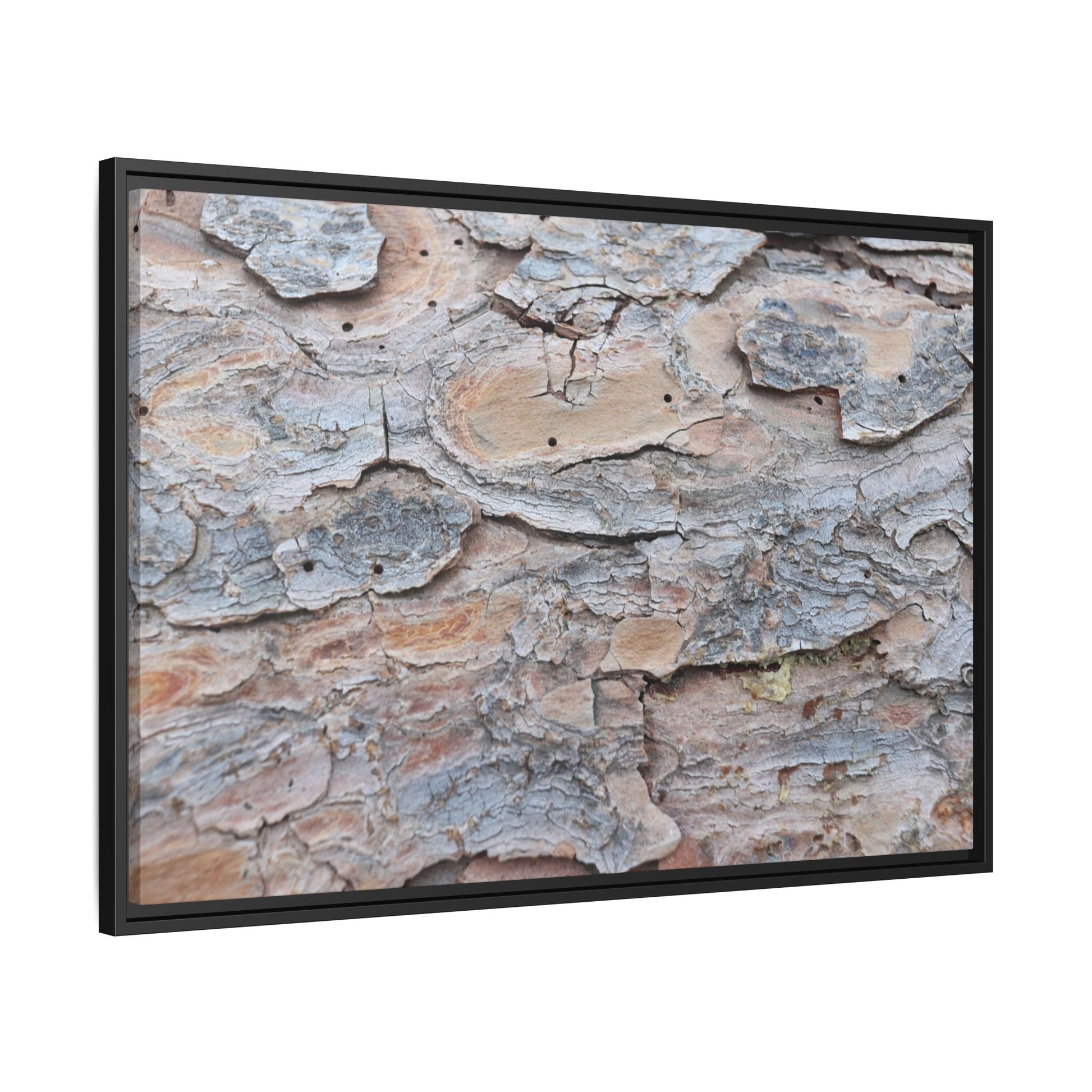 Peeling Memories - Unique Stretched Canvas Wall Art - Art By Earth