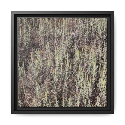 Sage Fields Forever - Unique Stretched Canvas Wall Art - Art By Earth