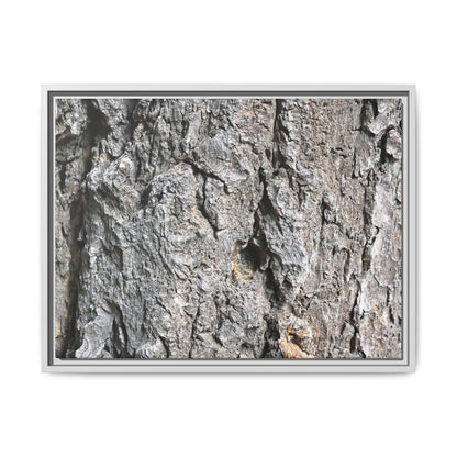 Crusty Exterior - Unique Stretched Canvas Wall Art - Art By Earth