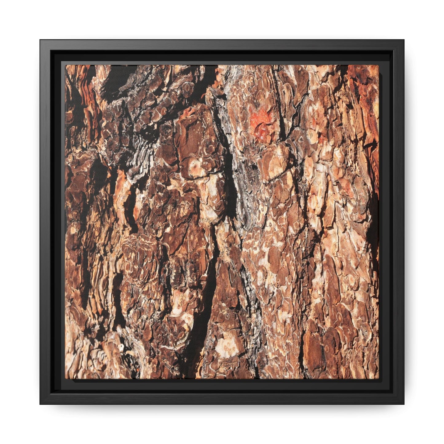 Nature's Rugged Canvas - Unique Stretched Canvas Wall Art