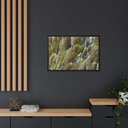 Moss Symphony - Unique Stretched Canvas Wall Art