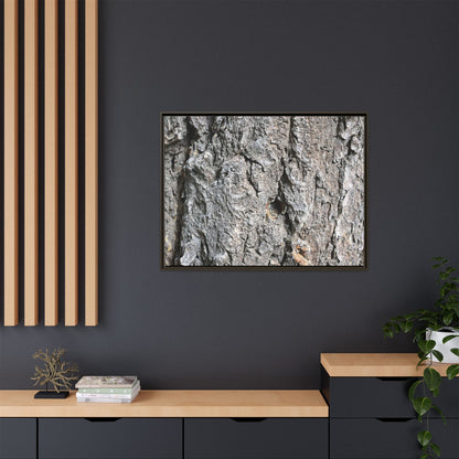 Crusty Exterior - Unique Stretched Canvas Wall Art - Art By Earth
