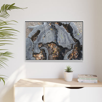 Time's Fractal Memory - Unique Stretched Canvas Wall Art - Art By Earth