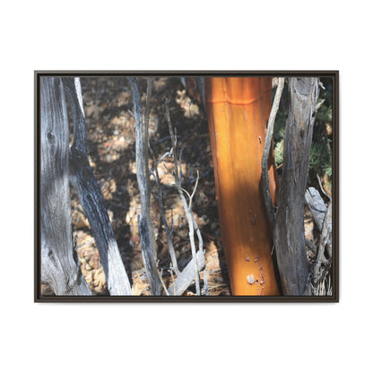 Burnt Trees and Golden Trunk - Unique Stretched Canvas Wall Art