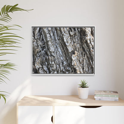 Twisted Textures - Unique Stretched Canvas Wall Art - Art By Earth