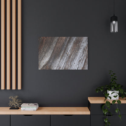 Aged Planks - Unique Frameless Canvas Wall Art - Art By Earth