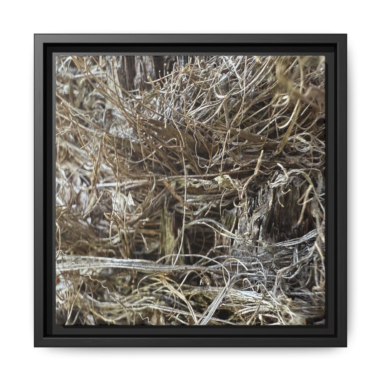 Tangled Whispers of Autumn - Unique Stretched Canvas Wall Art - Art By Earth