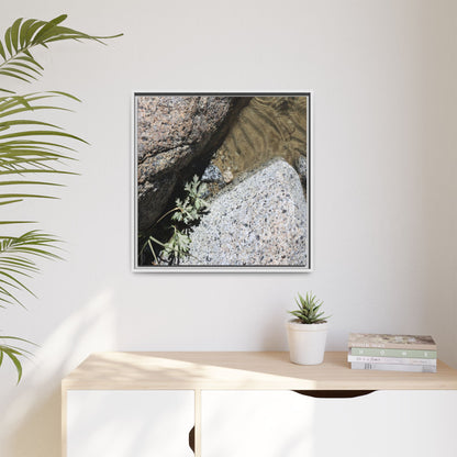 Resilience in Stone - Unique Stretched Canvas Wall Art - Art By Earth