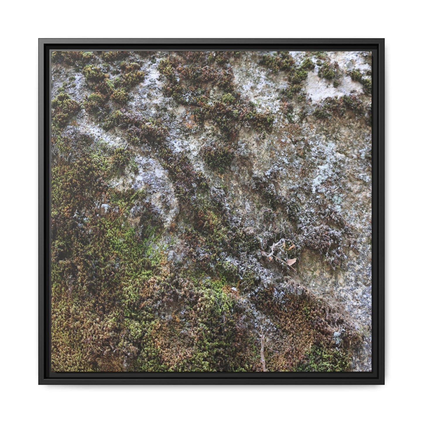 Mossy Whispers - Unique Stretched Canvas Wall Art - Art By Earth