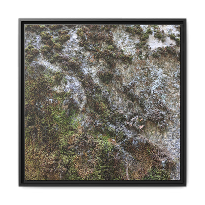 Mossy Whispers - Unique Stretched Canvas Wall Art - Art By Earth