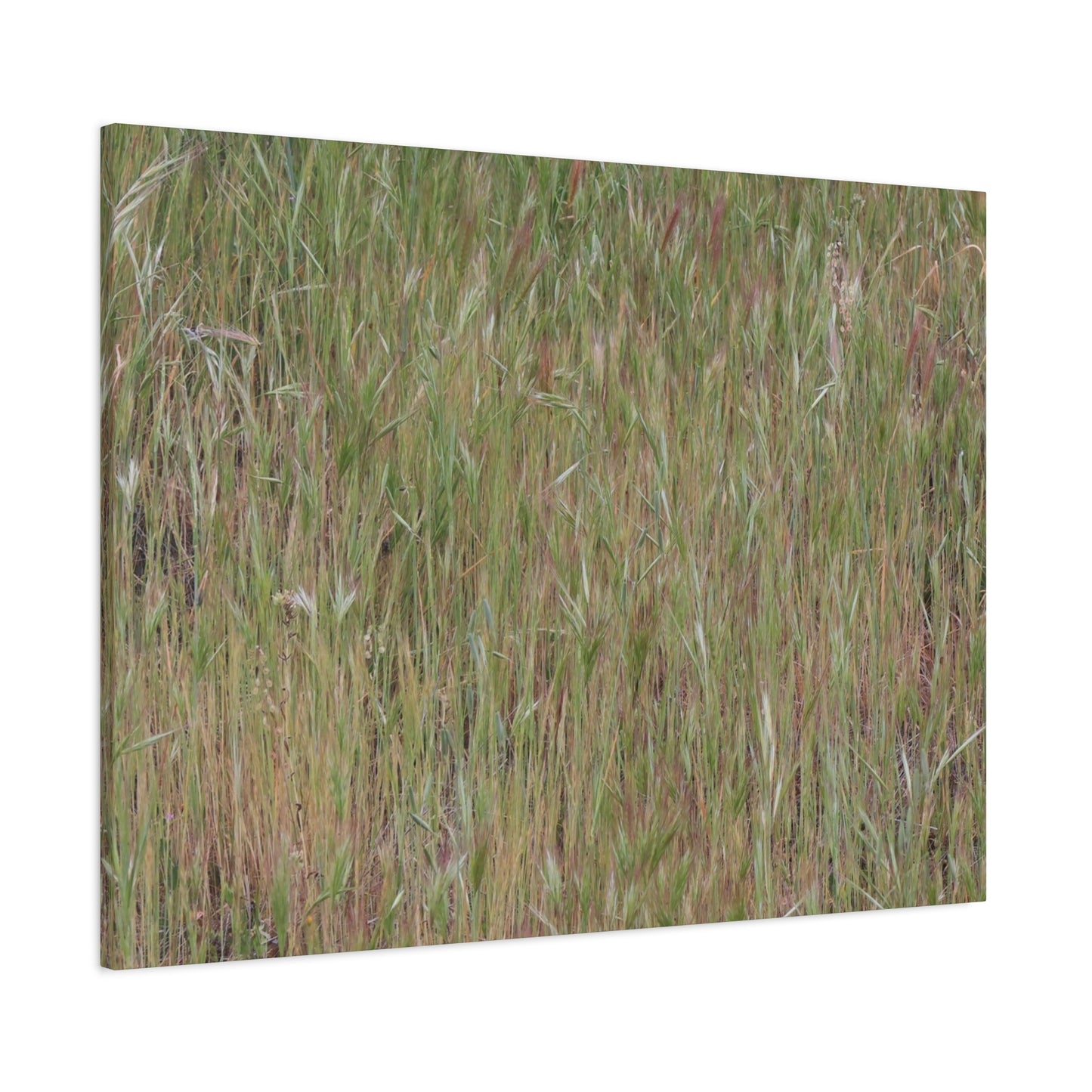Whispers of the Prairie - Unique Frameless Canvas Wall Art - Art By Earth
