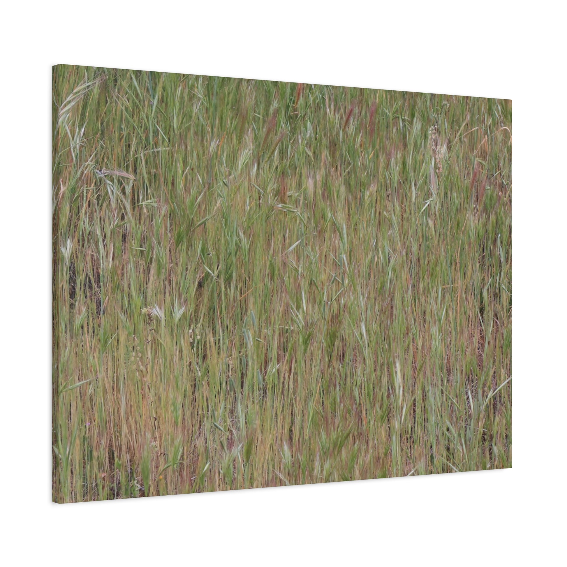 Whispers of the Prairie - Unique Frameless Canvas Wall Art - Art By Earth