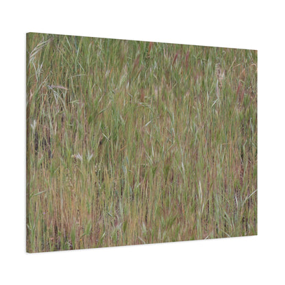 Whispers of the Prairie - Unique Frameless Canvas Wall Art - Art By Earth
