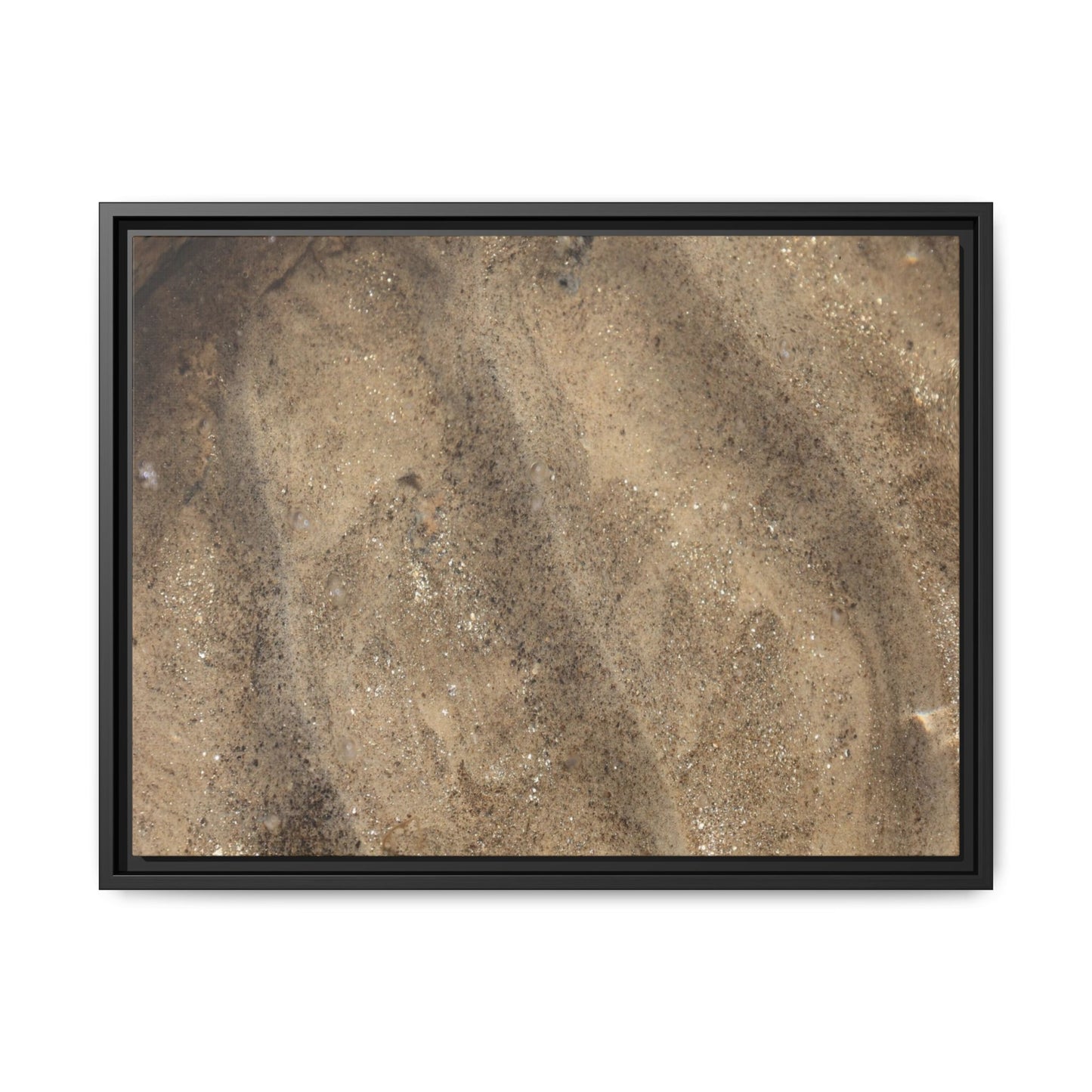 Tidal Pool Secrets - Unique Stretched Canvas Wall Art - Art By Earth