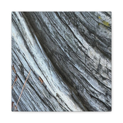 Weathered Wood Grain - Unique Frameless Canvas Wall Art - Art By Earth