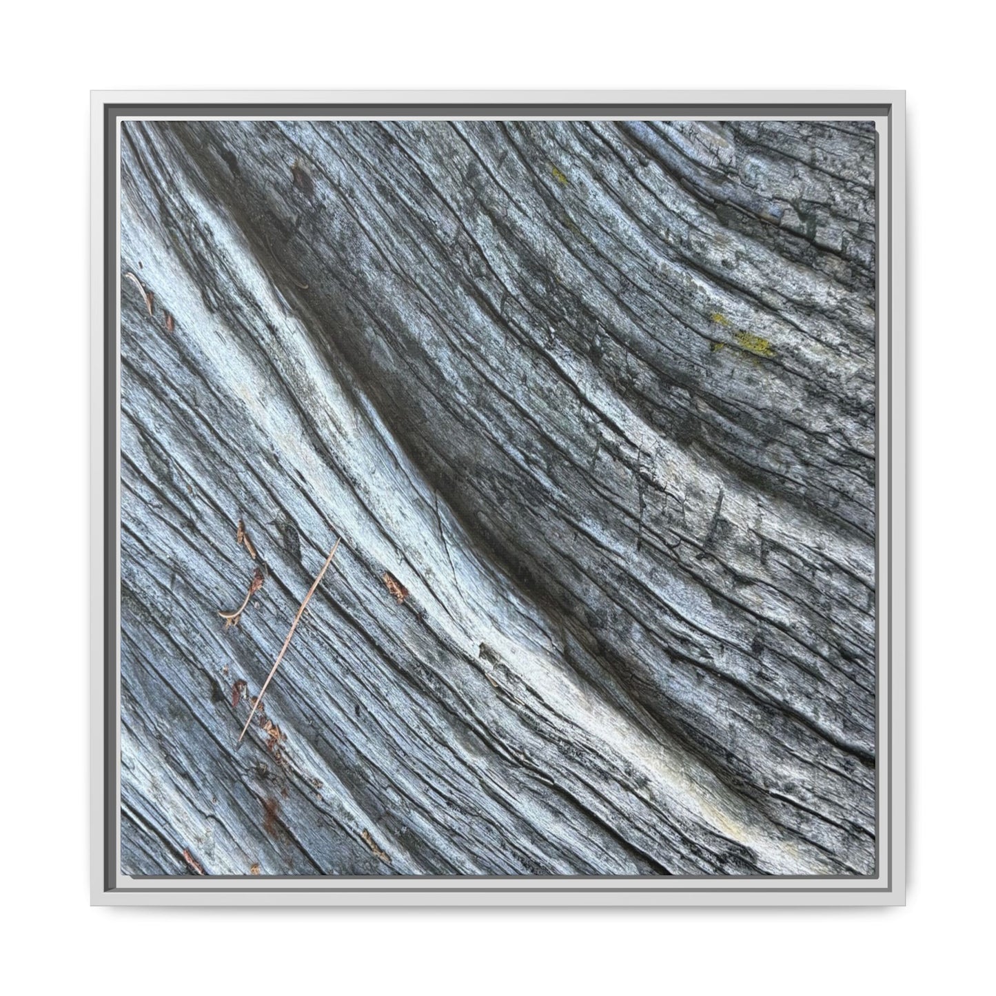 Time's Carved Path - Unique Stretched Canvas Wall Art - Art By Earth