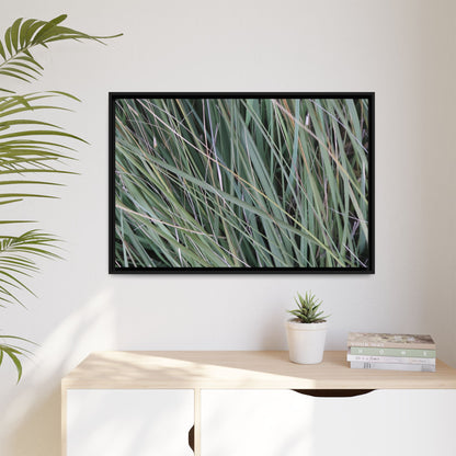 Grassland Symphony - Unique Stretched Canvas Wall Art - Art By Earth