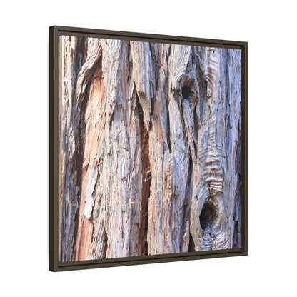 Nature's Grain - Unique Stretched Canvas Wall Art - Art By Earth