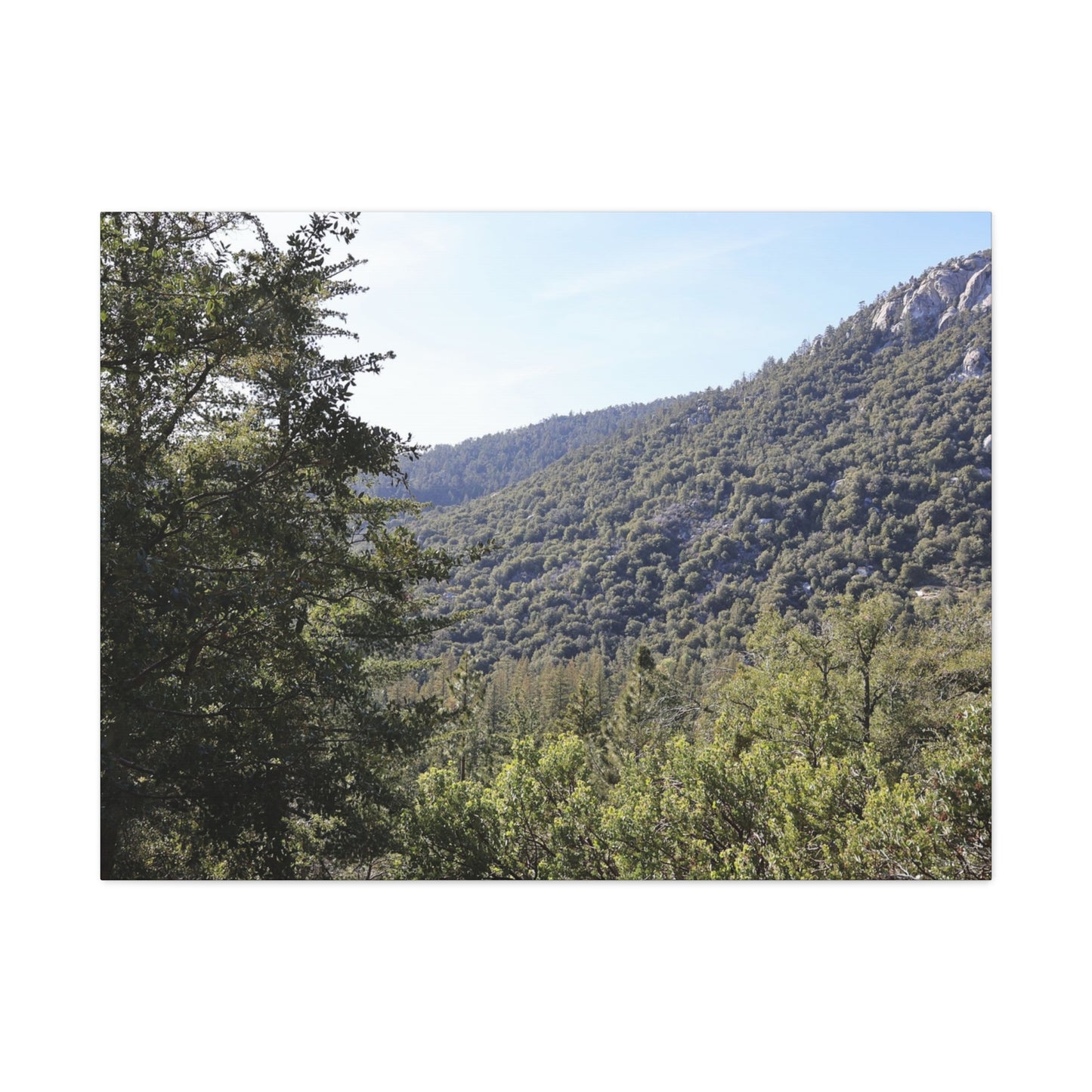 Mountain Vista Through Forest - Unique Frameless Canvas Wall Art