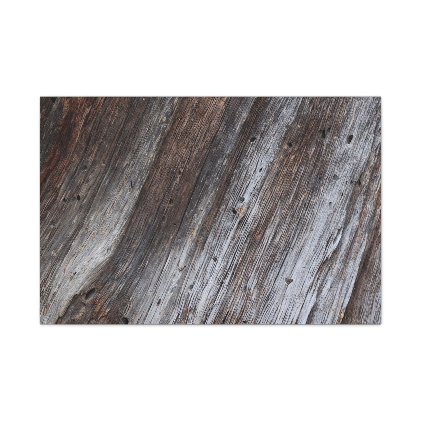 Aged Planks - Unique Frameless Canvas Wall Art - Art By Earth