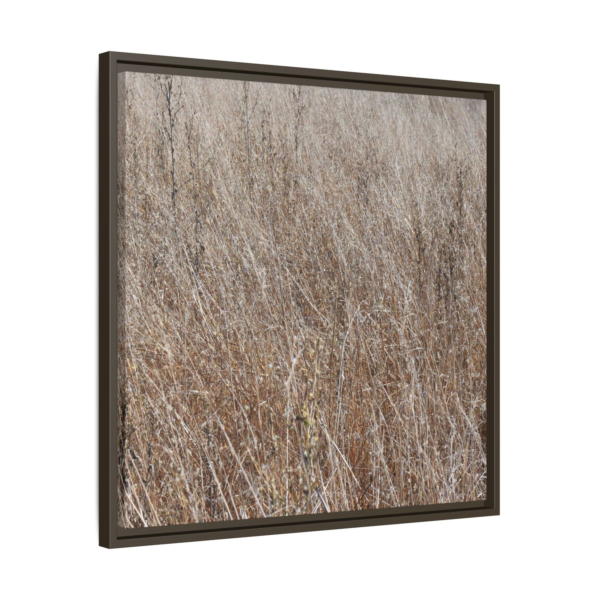 Whispers of Autumn - Unique Stretched Canvas Wall Art - Art By Earth