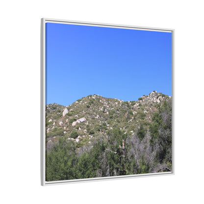 Sparse Vegetation - Unique Stretched Canvas Wall Art