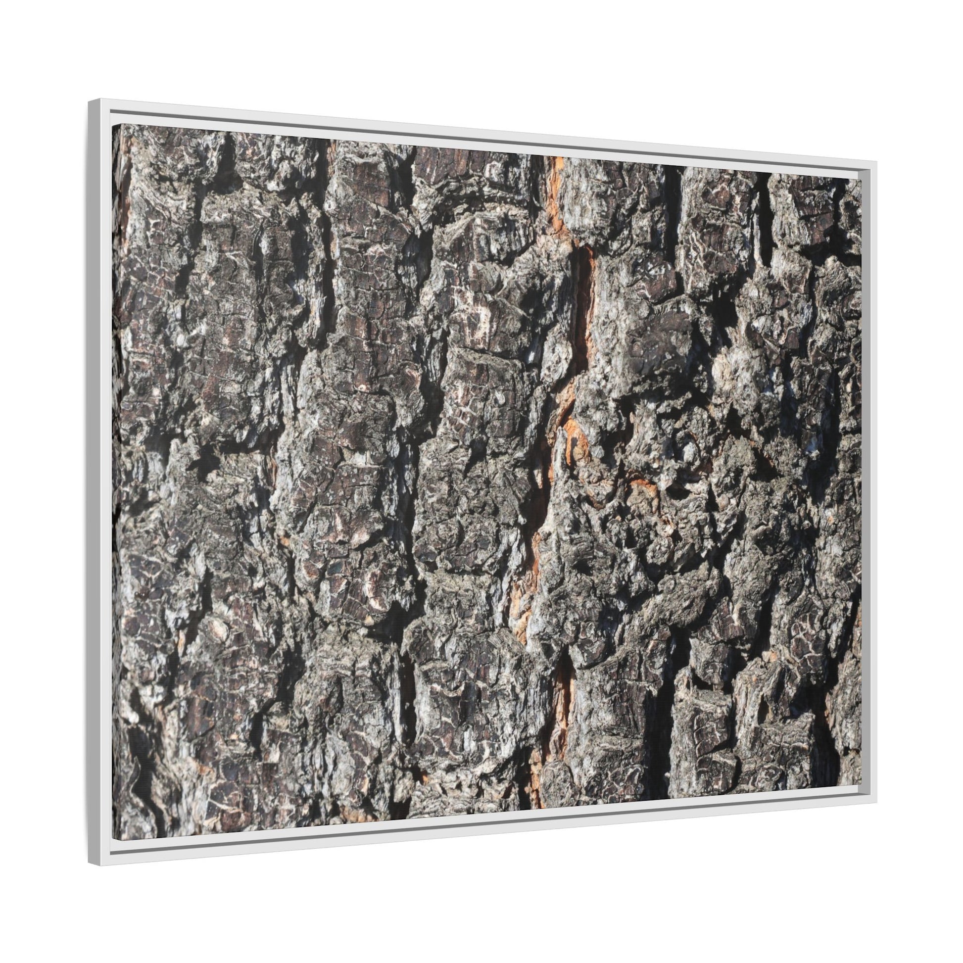 Aged Beauty - Unique Stretched Canvas Wall Art - Art By Earth