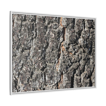 Aged Beauty - Unique Stretched Canvas Wall Art - Art By Earth