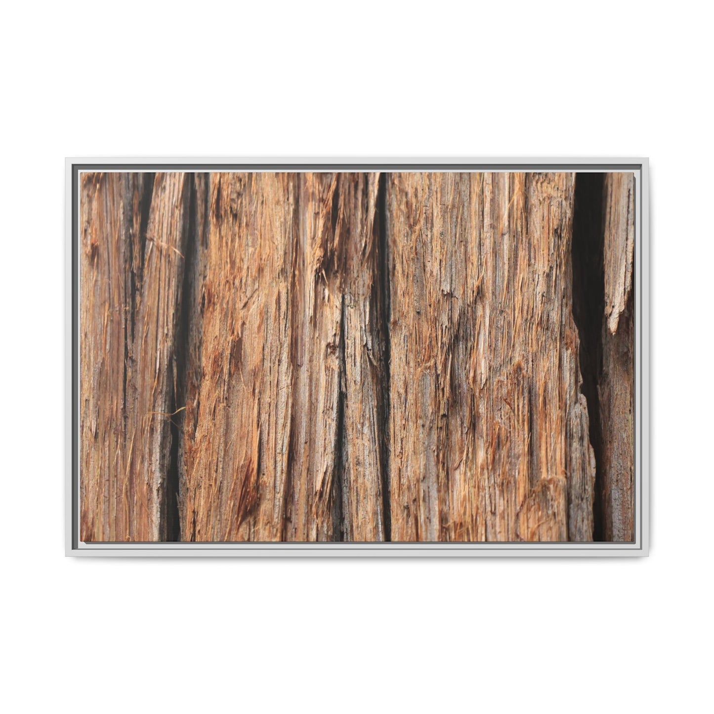 Timber Echoes - Unique Stretched Canvas Wall Art - Art By Earth