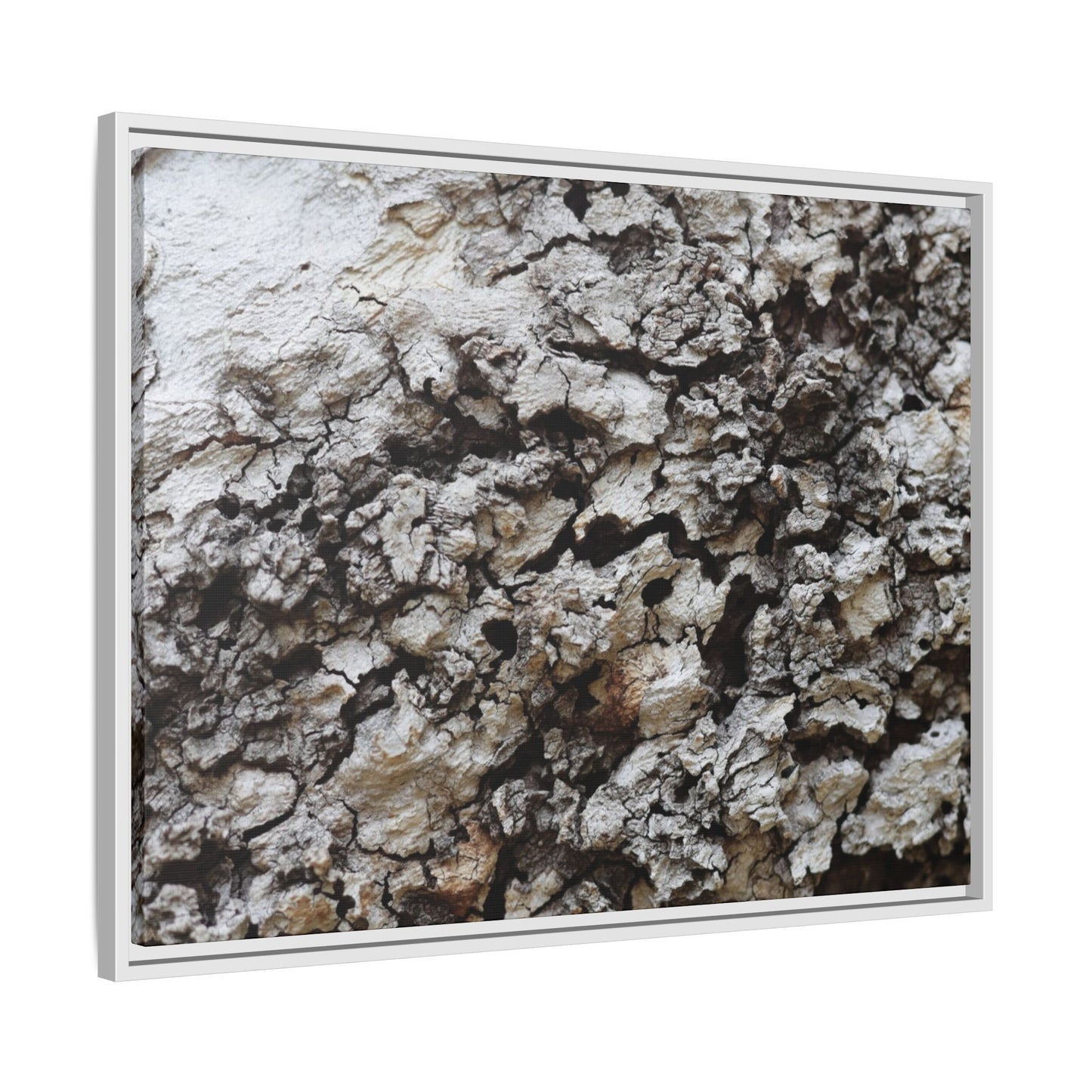 Cracked Terrain - Unique Stretched Canvas Wall Art - Art By Earth