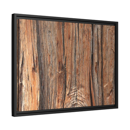 Echoes of Timber - Unique Stretched Canvas Wall Art - Art By Earth