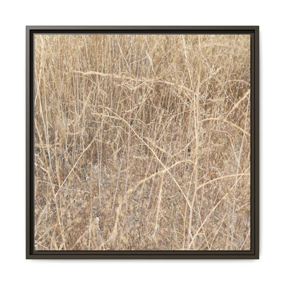 Golden Stalks - Unique Stretched Canvas Wall Art - Art By Earth