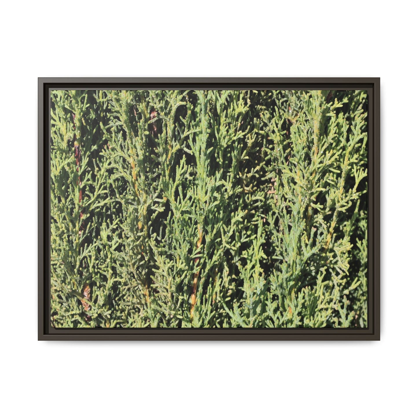 Emerald Labyrinth - Unique Stretched Canvas Wall Art - Art By Earth